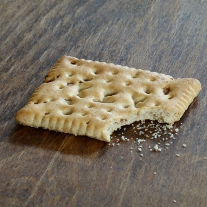 皿 食べ物 朝食 ベーキング
 写真