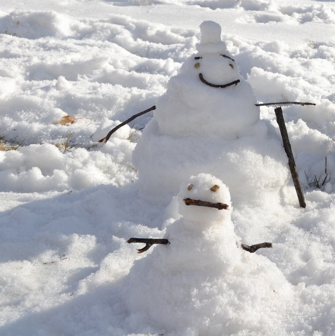 户外的 雪 寒冷的 冬天