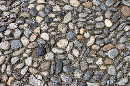 Rock wood cobblestone wall Photo