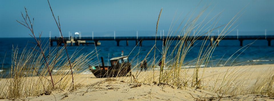 Praia mar costa grama