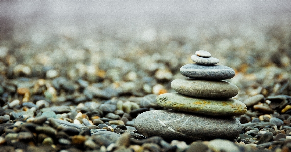 Nature sand rock leaf Photo