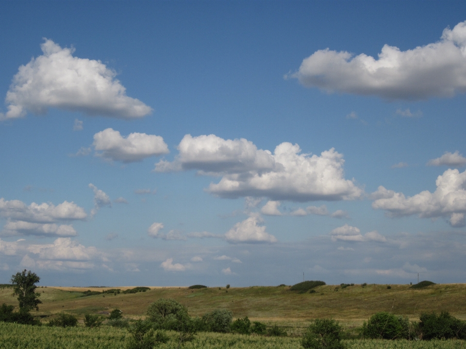 Paesaggio natura erba all'aperto