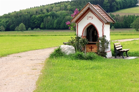 Photo Nature herbe cultiver pelouse