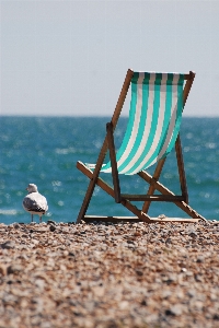 Beach sea coast sand Photo