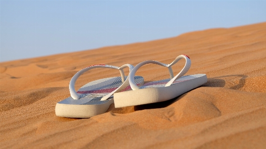 Beach sand desert dune Photo