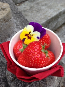 Plant fruit sweet flower Photo