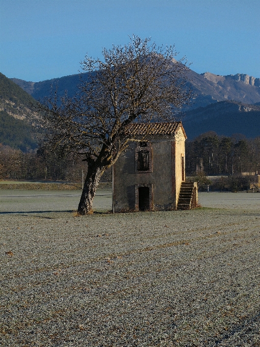 Krajobraz drzewo rock góra