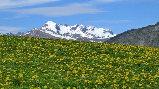 Foto Paisagem natureza montanha plantar