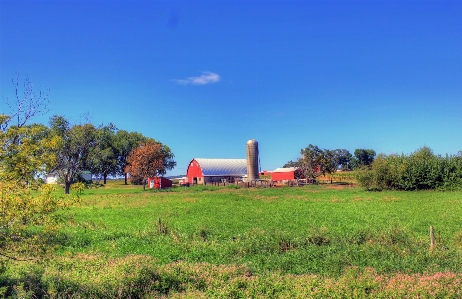 Landscape grass sky field Photo