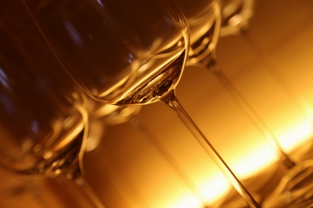 Liquid light wine glass Photo