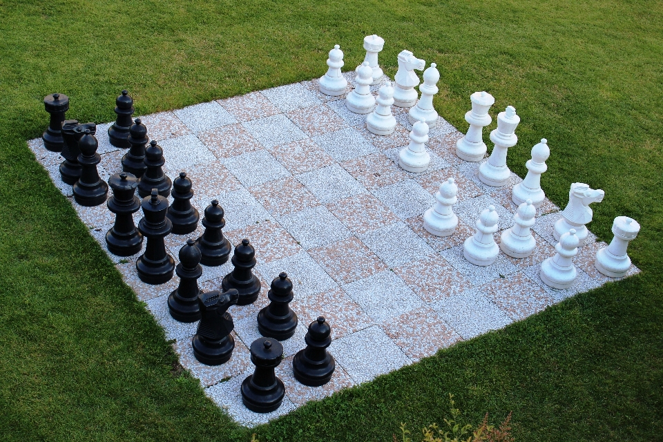 Recreation board game sports chess