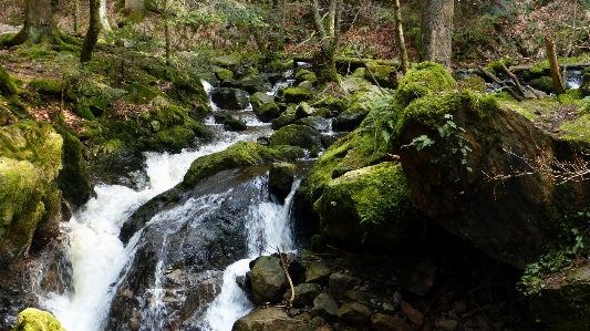 水 自然 森 滝 写真