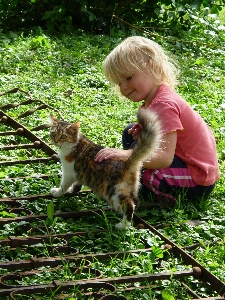 Grass girl flower animal Photo