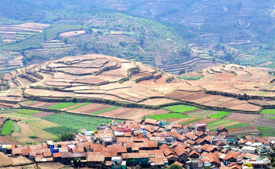 Landscape mountain field farm