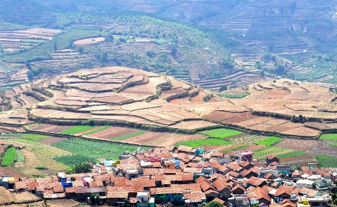 Landscape mountain field farm Photo