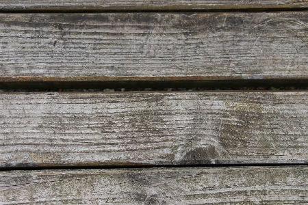 Fence structure wood grain Photo