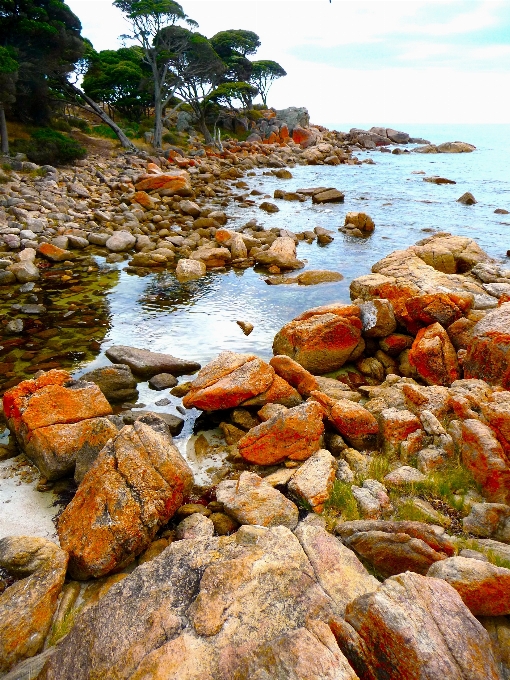 ビーチ 風景 海 海岸