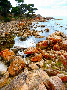 Beach landscape sea coast Photo