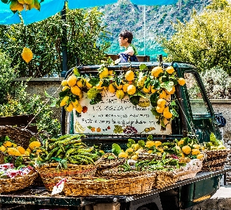 ビーチ 自然 農場 花 写真