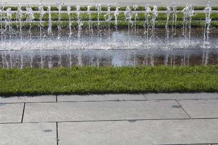 Foto Acqua erba bagnato stagno