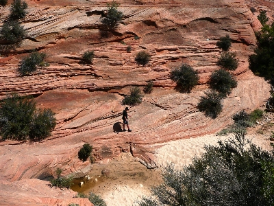 風景 自然 rock 荒野
 写真