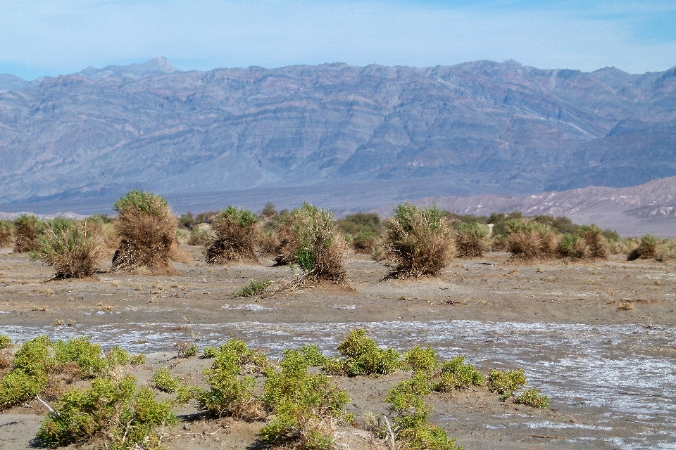 Paisaje naturaleza arena desierto
