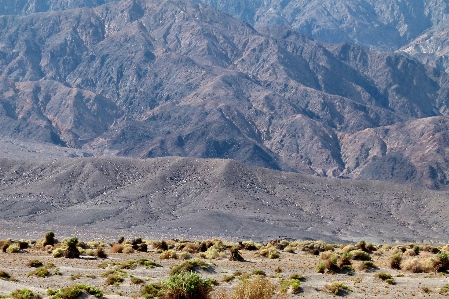 Landscape nature sand wilderness Photo