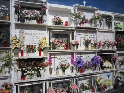 Flower wall meal cemetery Photo