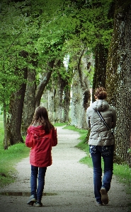 Foto árbol bosque caminando senderismo
