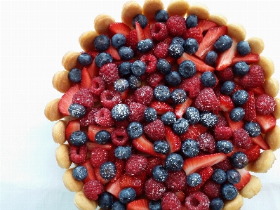 Foto Planta fruta baya alimento