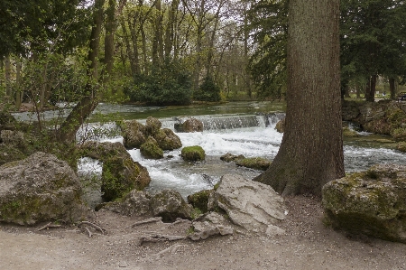 Landscape tree water nature Photo