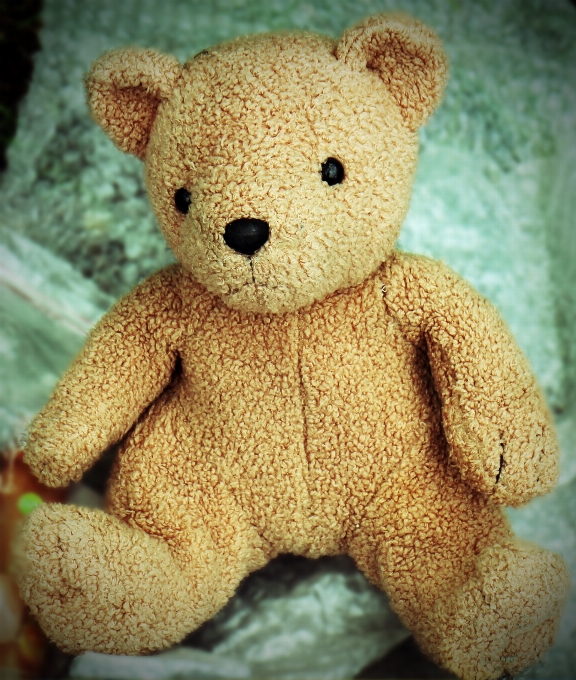 Bear toy teddy textile