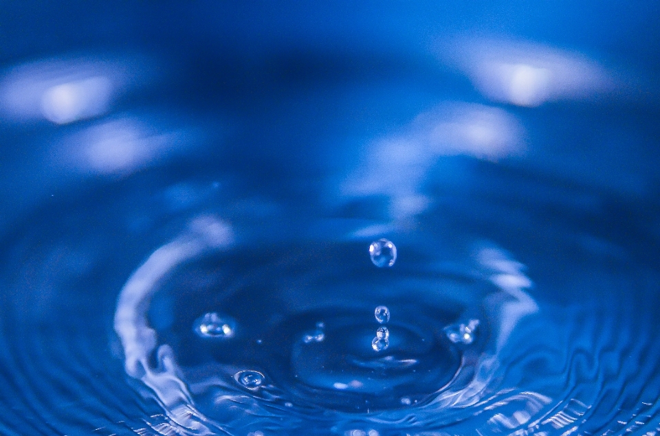 Acqua gocciolare onda petalo