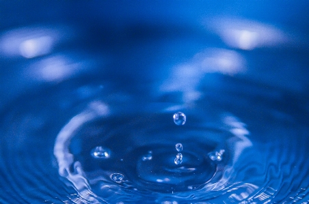 Water drop wave petal Photo