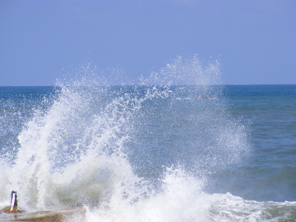 Spiaggia mare costa acqua