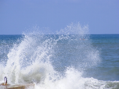 Beach sea coast water Photo