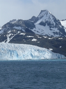 Ice glacier fjord arctic Photo