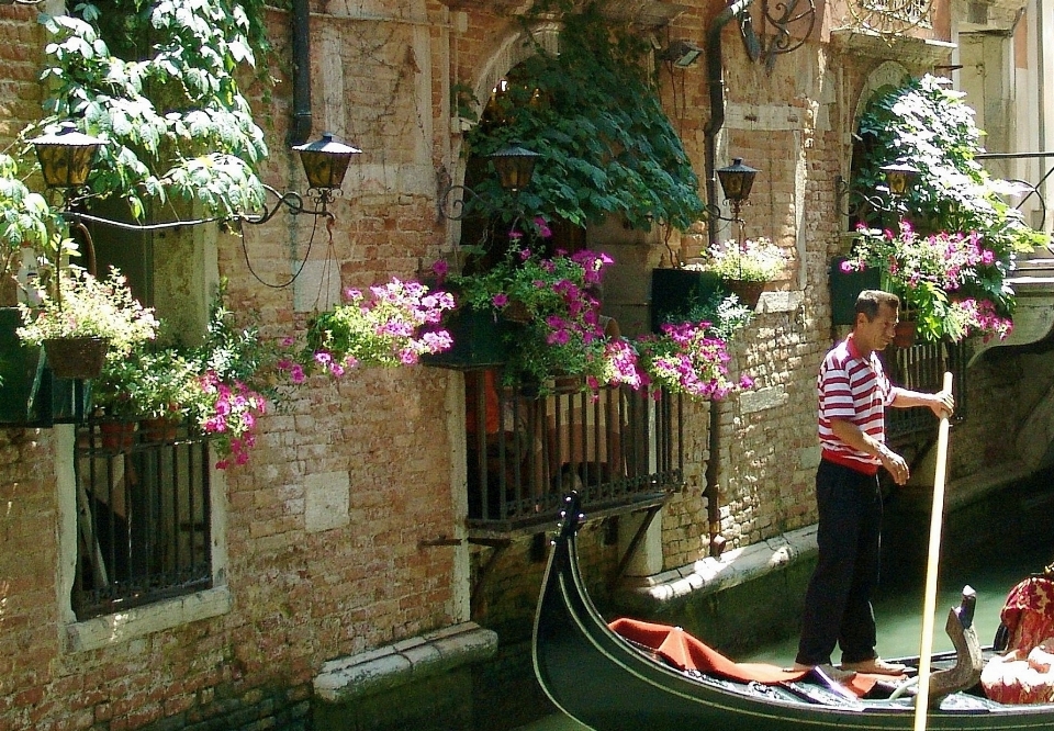 Flower romantic italy venice