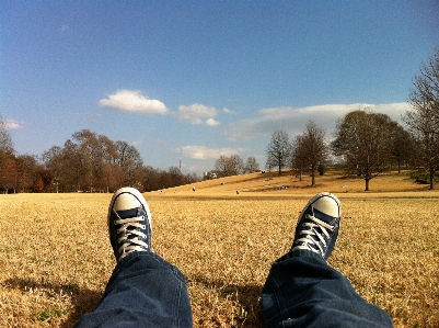 Landscape grass sky field Photo