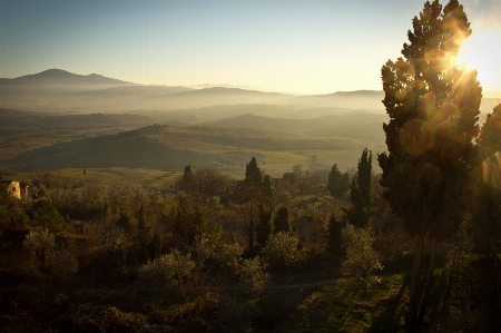 Landscape nature forest horizon Photo