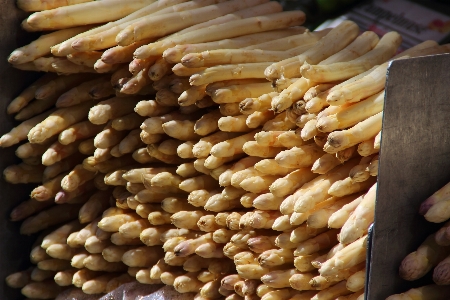 Foto Planta plato alimento producir