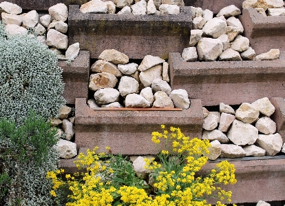 Rock 植物 花 壁 写真