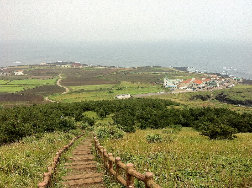 景观 海岸 自然 场地