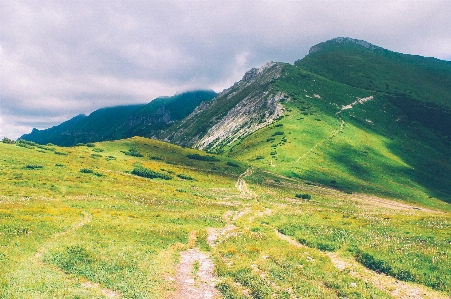 Landscape nature path pathway Photo