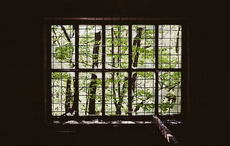 Light wood house window Photo