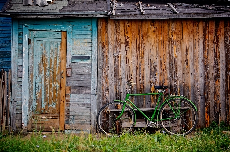 Nature grass wood house Photo