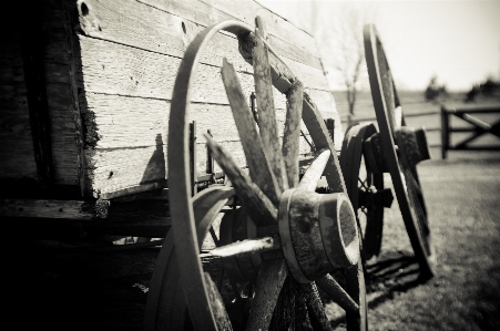 Black and white farm photography Photo