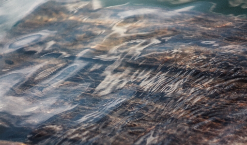 Water rock wood sunlight Photo