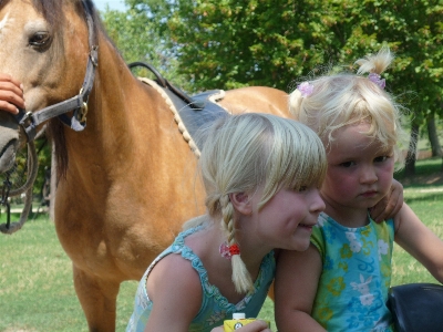 Girl play animal summer Photo