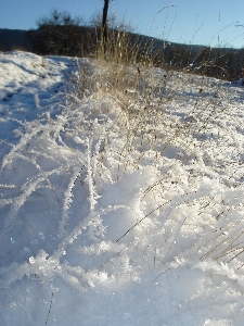 Outdoor snow cold winter Photo